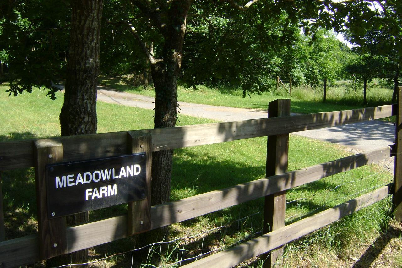 Bed and Breakfast Meadowland Farm Dolton Экстерьер фото